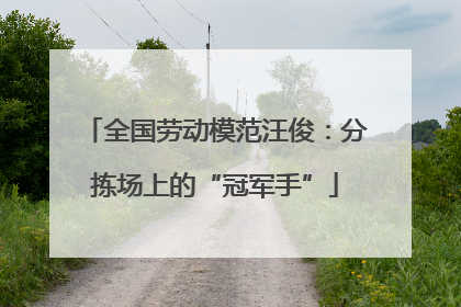 全国劳动模范汪俊：分拣场上的“冠军手”