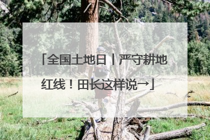 全国土地日丨严守耕地红线！田长这样说→