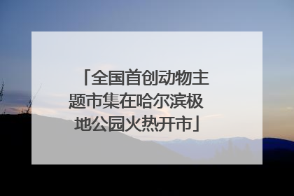 全国首创动物主题市集在哈尔滨极地公园火热开市