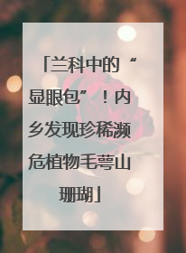 兰科中的“显眼包”！内乡发现珍稀濒危植物毛萼山珊瑚