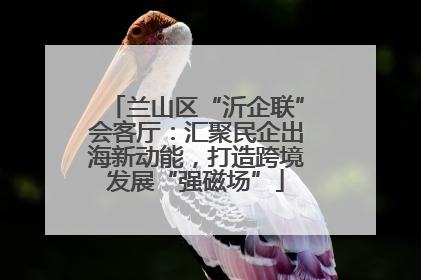 兰山区“沂企联”会客厅：汇聚民企出海新动能，打造跨境发展“强磁场”
