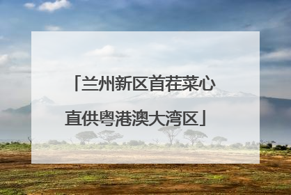 兰州新区首茬菜心直供粤港澳大湾区