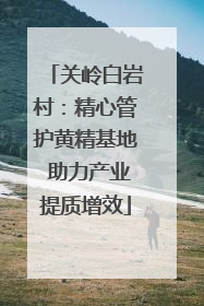 关岭白岩村：精心管护黄精基地 助力产业提质增效