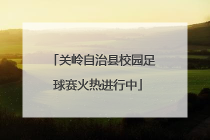 关岭自治县校园足球赛火热进行中