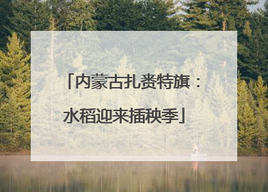 内蒙古扎赉特旗：水稻迎来插秧季