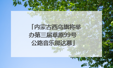 内蒙古西乌旗将举办第三届草原99号公路音乐那达慕