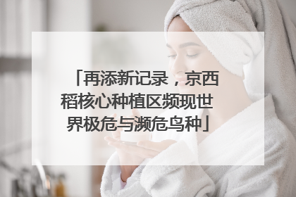再添新记录，京西稻核心种植区频现世界极危与濒危鸟种