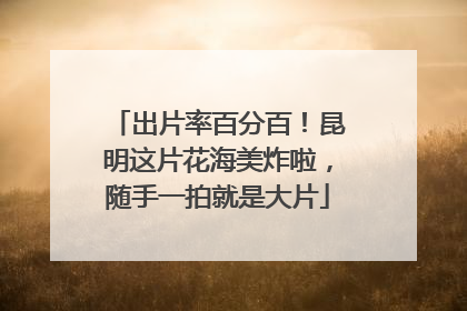 出片率百分百！昆明这片花海美炸啦，随手一拍就是大片