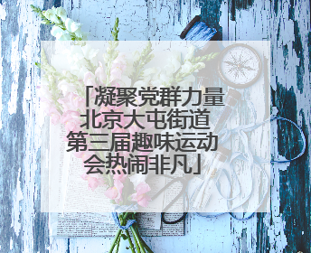 凝聚党群力量 北京大屯街道第三届趣味运动会热闹非凡