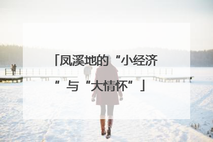 凤溪地的“小经济”与“大情怀”
