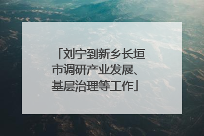 刘宁到新乡长垣市调研产业发展、基层治理等工作