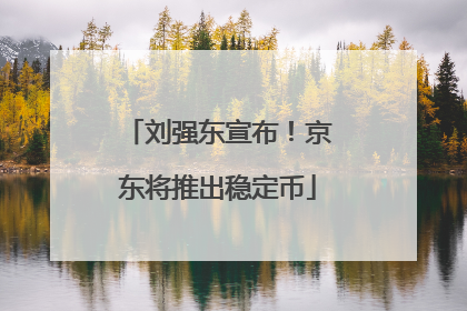 刘强东宣布！京东将推出稳定币