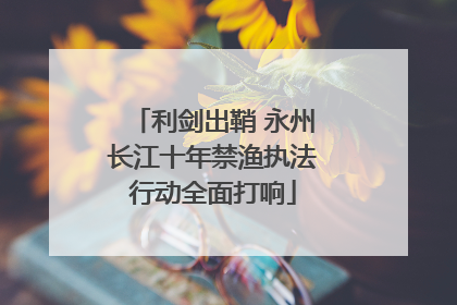 利剑出鞘 永州长江十年禁渔执法行动全面打响