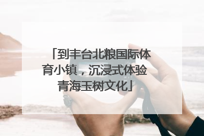 到丰台北粮国际体育小镇，沉浸式体验青海玉树文化