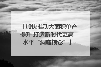 加快推动大面积单产提升 打造新时代更高水平“洞庭粮仓”