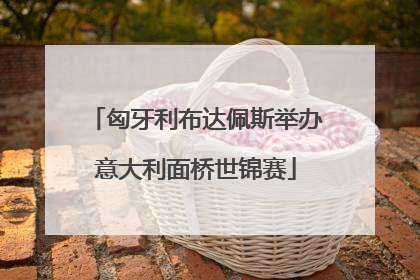 匈牙利布达佩斯举办意大利面桥世锦赛