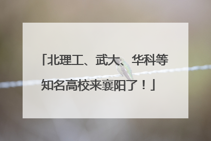 北理工、武大、华科等知名高校来襄阳了！
