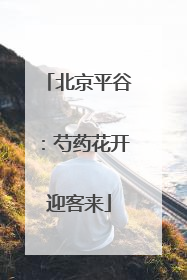 北京平谷：芍药花开迎客来