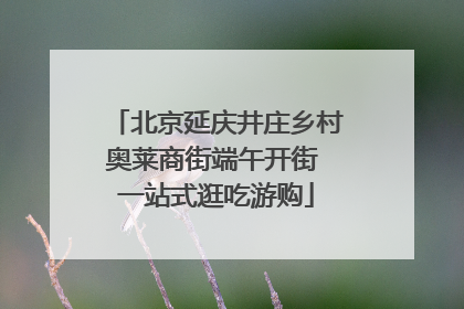 北京延庆井庄乡村奥莱商街端午开街 一站式逛吃游购