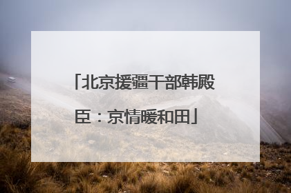北京援疆干部韩殿臣：京情暖和田