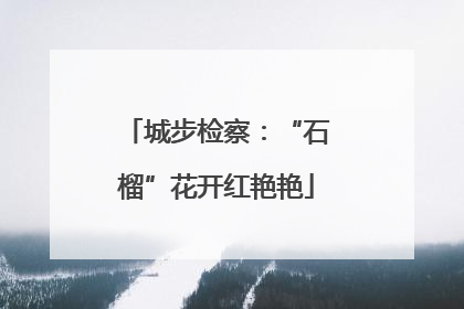 城步检察：“石榴”花开红艳艳