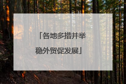 各地多措并举稳外贸促发展