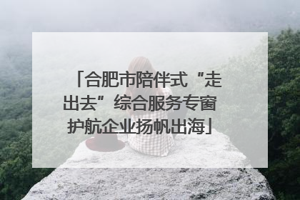 合肥市陪伴式“走出去”综合服务专窗护航企业扬帆出海