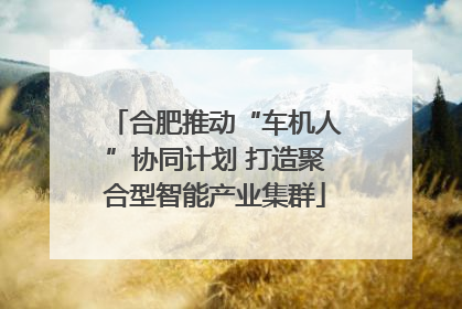 合肥推动“车机人”协同计划 打造聚合型智能产业集群