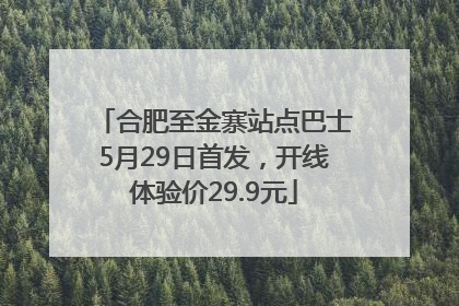 合肥至金寨站点巴士5月29日首发，开线体验价29.9元