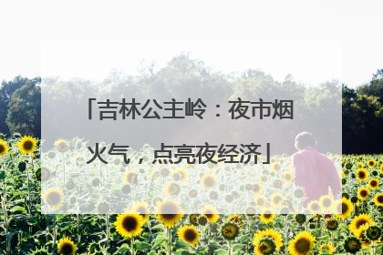 吉林公主岭：夜市烟火气，点亮夜经济