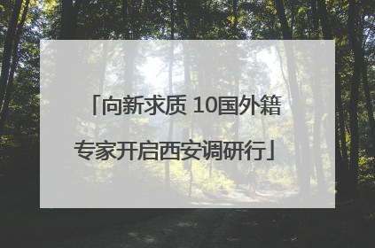 向新求质 10国外籍专家开启西安调研行