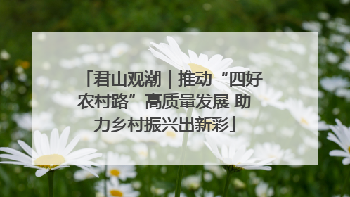 君山观潮｜推动“四好农村路”高质量发展 助力乡村振兴出新彩