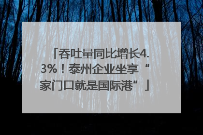 吞吐量同比增长4.3%！泰州企业坐享“家门口就是国际港”