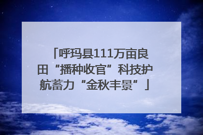 呼玛县111万亩良田“播种收官”科技护航蓄力“金秋丰景”