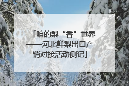 咱的梨“香”世界——河北鲜梨出口产销对接活动侧记