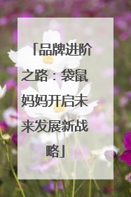 品牌进阶之路：袋鼠妈妈开启未来发展新战略