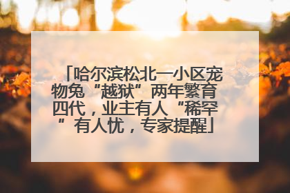 哈尔滨松北一小区宠物兔“越狱”两年繁育四代，业主有人“稀罕”有人忧，专家提醒