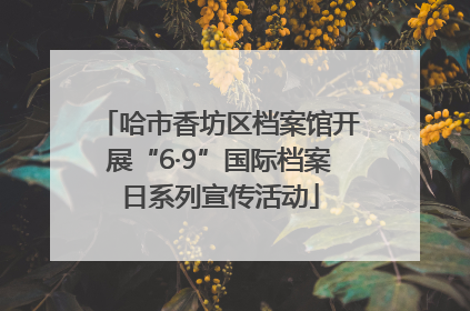 哈市香坊区档案馆开展“6·9”国际档案日系列宣传活动