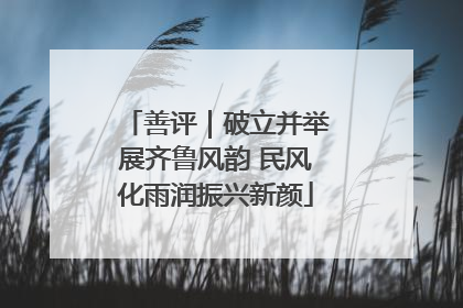 善评｜破立并举展齐鲁风韵 民风化雨润振兴新颜