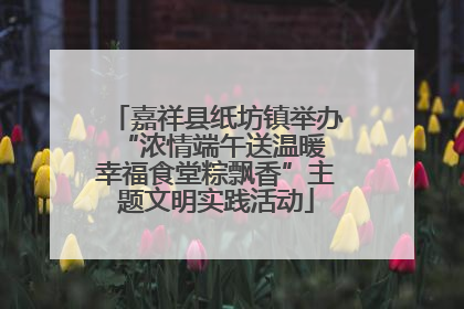 嘉祥县纸坊镇举办“浓情端午送温暖 幸福食堂粽飘香”主题文明实践活动