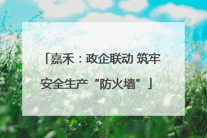嘉禾：政企联动 筑牢安全生产“防火墙”
