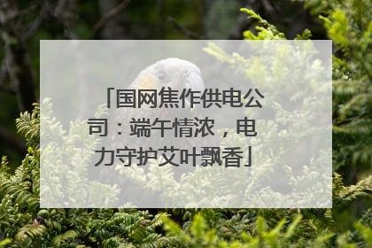 国网焦作供电公司：端午情浓，电力守护艾叶飘香