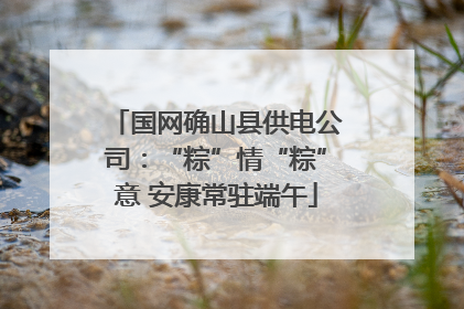 国网确山县供电公司：“粽”情“粽”意 安康常驻端午