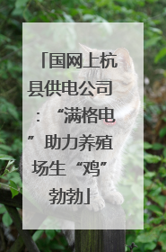 国网上杭县供电公司：“满格电”助力养殖场生“鸡”勃勃