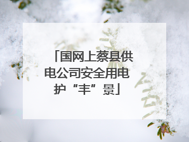 国网上蔡县供电公司安全用电护“丰”景