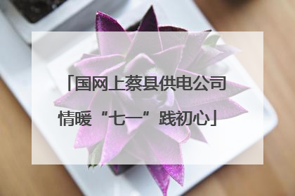 国网上蔡县供电公司情暖“七一”践初心