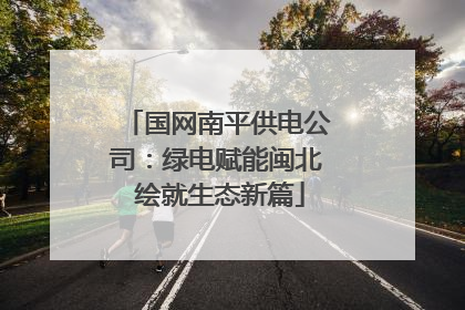 国网南平供电公司：绿电赋能闽北 绘就生态新篇