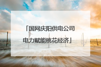 国网庆阳供电公司电力赋能桃花经济