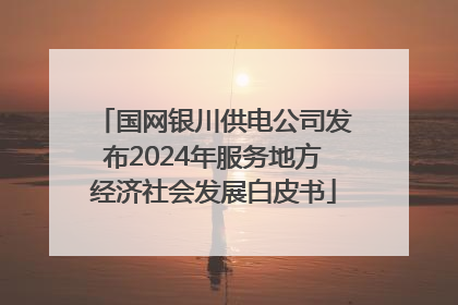 国网银川供电公司发布2024年服务地方经济社会发展白皮书