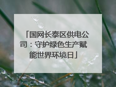 国网长泰区供电公司：守护绿色生产赋能世界环境日